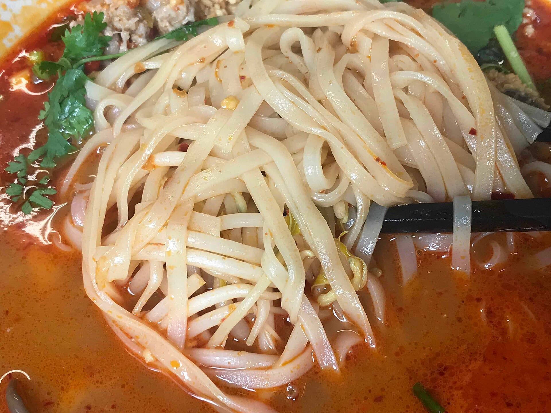 酸辣汤粉 Kuay Teow Tom Yum 真实成品图