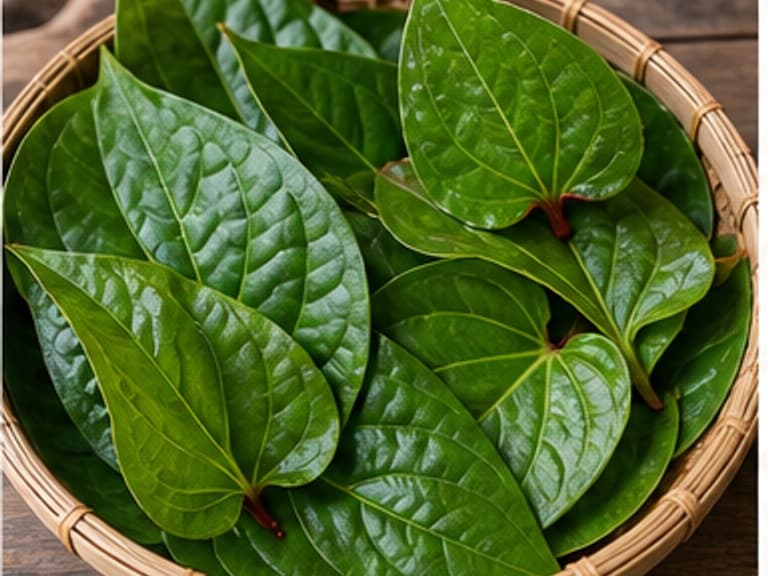 叶子AI 拟真教学图:真实食材照片:必须是 叶子 / edible leaves 本身,最好体现按净重称量,烹饪前单独备好。;不能用成品菜、插画或普通替代品。