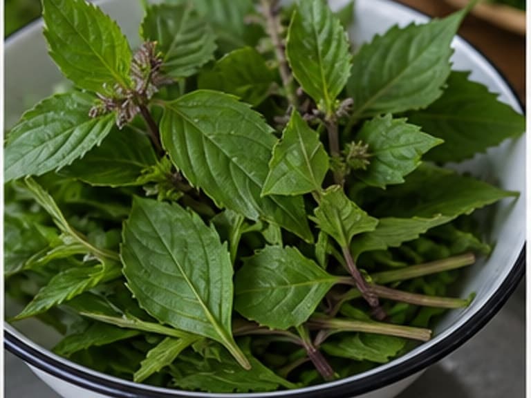 圣罗勒AI 拟真教学图:真实食材照片:必须是 圣罗勒 / holy basil 本身,最好体现必须最后下。;不能用成品菜、插画或普通替代品。
