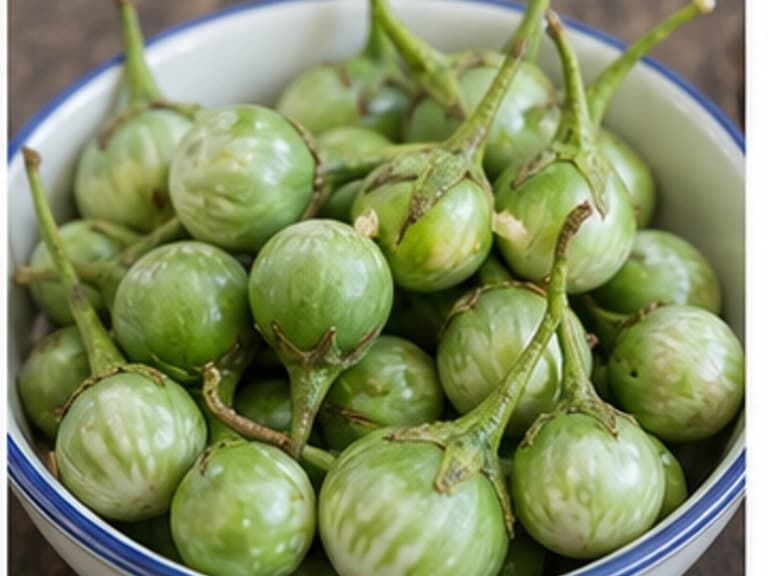 豌豆茄AI 拟真教学图:真实食材照片:必须是 豌豆茄 / pea eggplant 本身,最好体现可选。;不能用成品菜、插画或普通替代品。