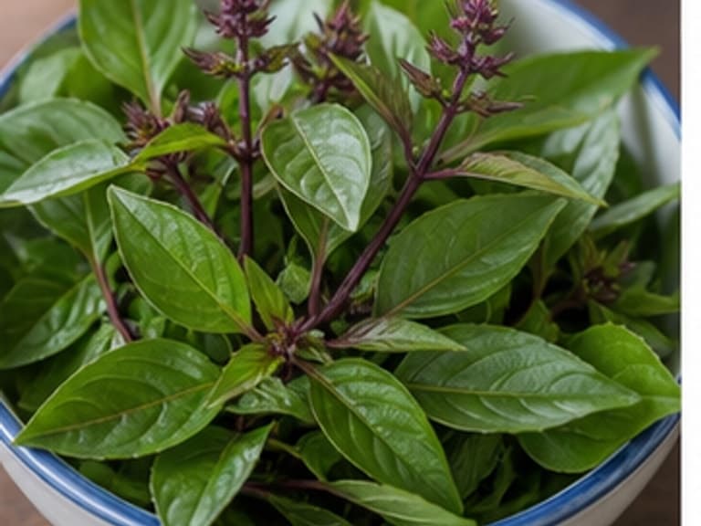 甜罗勒AI 拟真教学图:真实食材照片:必须是 甜罗勒 / Thai sweet basil 本身,最好体现最后下,避免变黑。;不能用成品菜、插画或普通替代品。